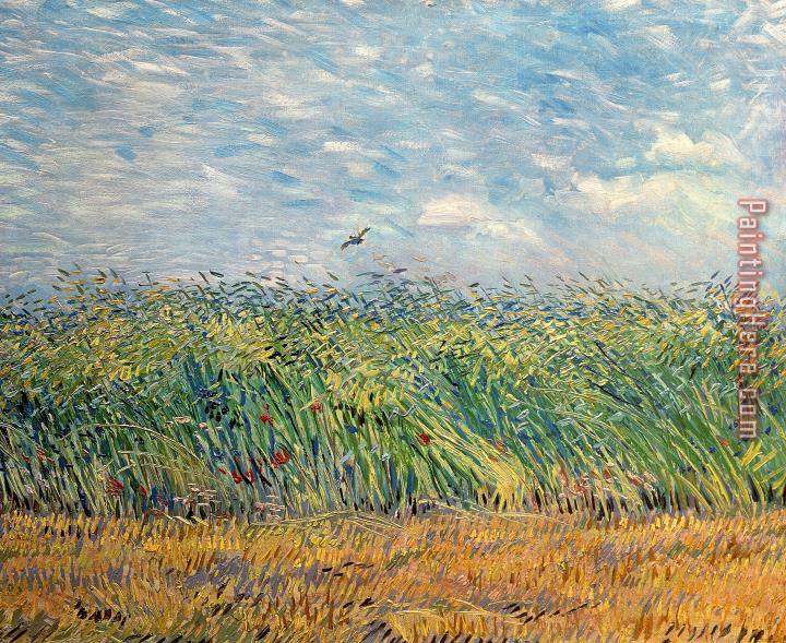 Vincent van Gogh Wheatfield With Lark